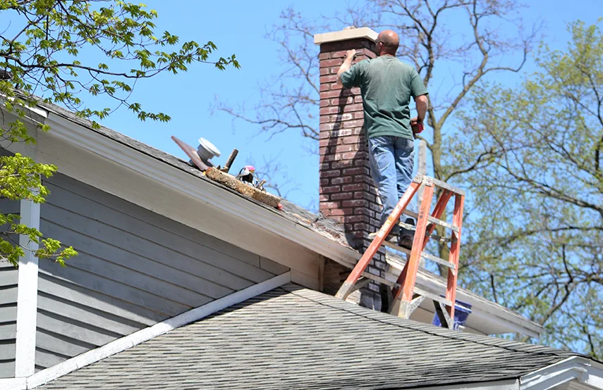 Chimney & Fireplace Inspections Services in Duluth, GA